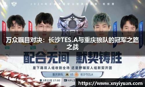 万众瞩目对决：长沙TES.A与重庆狼队的冠军之路之战